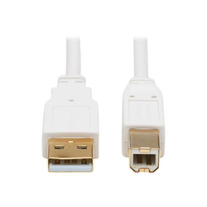 Picture of Tripp Lite Safe-IT USB-A to USB-B Antibacterial Cable M/M, USB 2.0, White, 6 ft. - First End: 1 x Type A Male USB - Second End: 1 x Type B Male USB - 480 Mbit/s - Shielding - Gold Plated Connector - Gold Plated Contact - VW-1 - 28 AWG - White