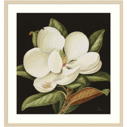 Picture of Amanti Art Magnolia Grandiflora 2003 by Jenny Barron Wood Framed Wall Art Print, 31inW x 33inH, Natural