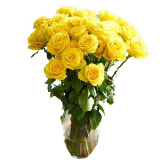 Picture of Rose Farmers Yellow Bright Long Stem Roses, Yellow, Box Of 48 Roses