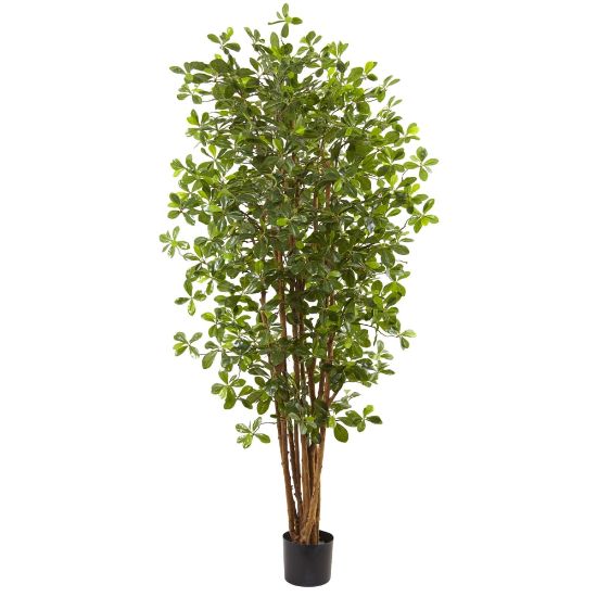 Picture of Nearly Natural 6ftH Black Olive Silk Tree With Pot, Green/Black