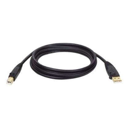 Picture of Tripp Lite U022-010 Gold USB 2.0 A/B Cable, 10 ft.