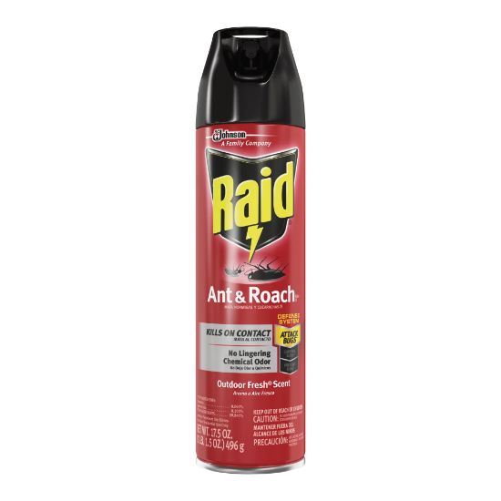 Picture of Raid Ant & Roach Killer Spray - Spray - Kills Cockroaches, Ants, Silverfish, Water Bugs, Palmetto Bug, Carpet Beetle, Earwig, Spider, Lady Beetle, Black Widow Spider, Crickets, .. - 1.09 lb - Clear - 12 / Carton