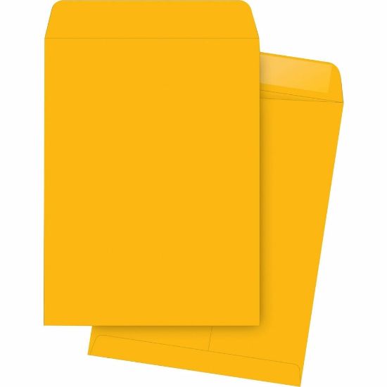 Picture of Business Source Durable Kraft Catalog Envelopes - Document - #10 1/2 - 9in Width x 12in Length - 24 lb - Gummed - Kraft - 250 / Box - Kraft