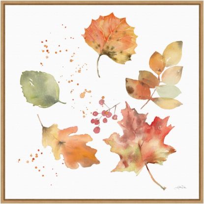 Picture of Amanti Art Falling Leaves I by Katrina Pete Framed Canvas Wall Art Print, 22inH x 22inW, Maple