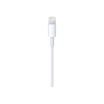 Picture of Apple Lightning to USB Cable, 3.38ft