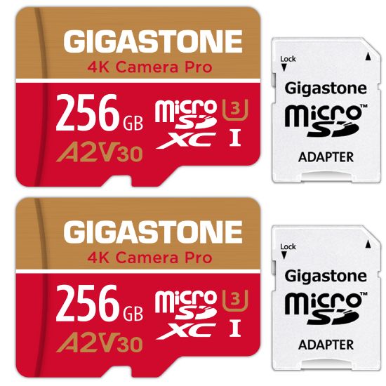 Picture of Dane-Elec Gigastone 4K Class10 U3 A2 V30 Camera Pro MicroSDXC Cards, 256GB, Pack Of 2 Cards