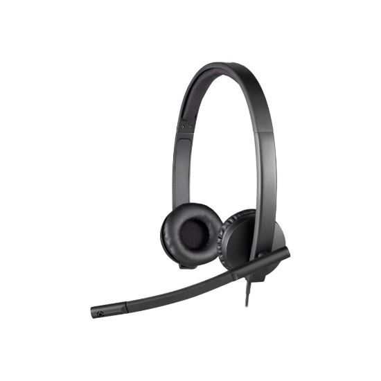 Picture of Logitech H570E USB Stereo Headset, Black