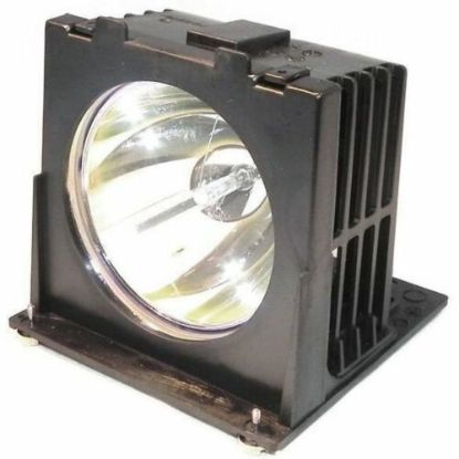 Picture of eReplacements Replacement Lamp