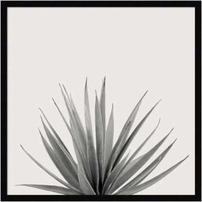 Picture of Amanti Art Haze Agave Succulent by The Creative Bunch Wood Framed Wall Art Print, 25inH x 25inW, Black