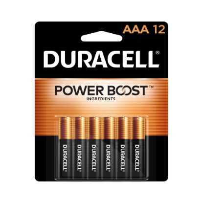 Picture of Duracell Coppertop AAA Alkaline Batteries, Pack Of 12