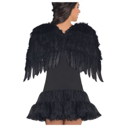 Picture of Amscan Feather Wings, 22in, Black