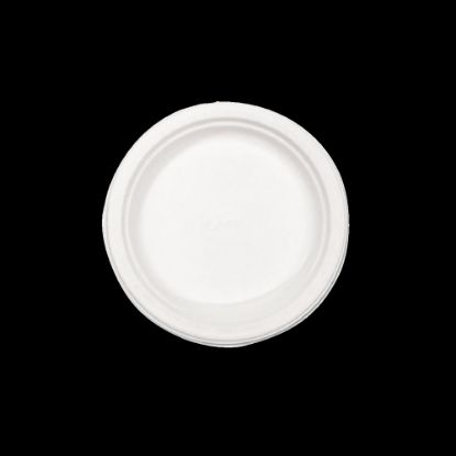 Picture of Chinet Disposable Dinner Plates, 8 3/4in, Classic White, Case Of 500