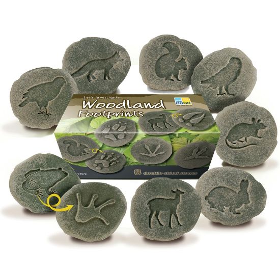 Picture of Yellow Door Lets Investigate Woodland Footprints, Pack Of 8 Stones