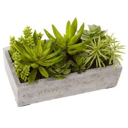 Picture of Nearly Natural Succulent 6-1/2inH Plastic Plant Garden With Concrete Planter, 6-1/2inH x 12-3/4inW x 8-1/2inD, Green