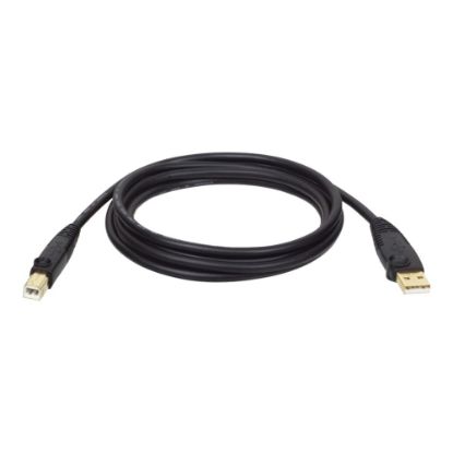 Picture of Tripp Lite U022-006 Gold USB 2.0 A/B cable, 6 ft.