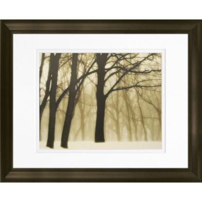 Picture of Timeless Frames Marren Espresso-Framed Landscape Artwork, 11in x 14in, Past Dreams