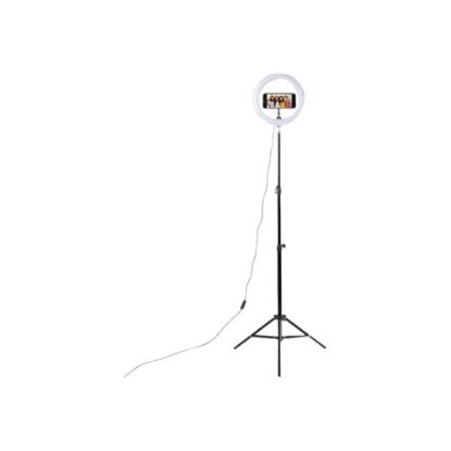 Picture of Blackmore BLR-10LED - Ring light - 1 heads - LED - DC