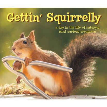 Picture of Willow Creek Press 6in x 7in Hardcover Gift Book, Gettin Squirrelly By Geert Weggen