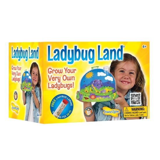 Picture of Insect Lore Ladybug Land Growing Kit