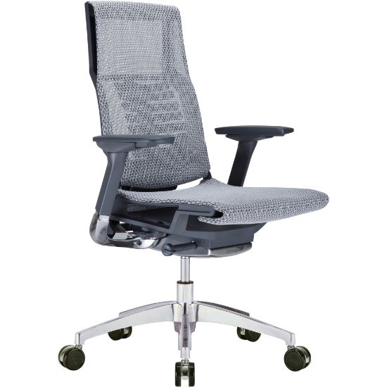 Picture of Raynor Powerfit Ergonomic Mesh Mid-Back Executive Chair, Black/Gray