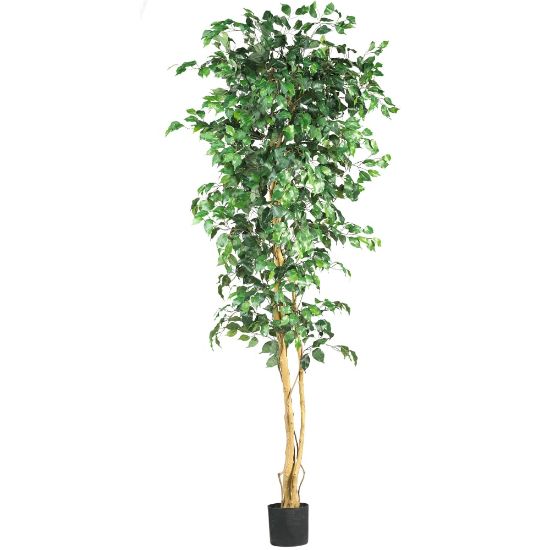 Picture of Nearly Natural 7ftH Silk Ficus Tree With Pot, Green