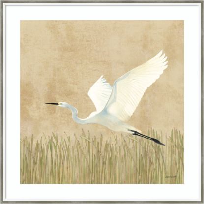 Picture of Amanti Art Egret Alighting II by Kathrine Lovell Wood Framed Wall Art Print, 33inH x 33inW, White