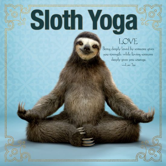 Picture of Willow Creek Press 5-1/2in x 5-1/2in Hardcover Gift Book, Sloth Yoga