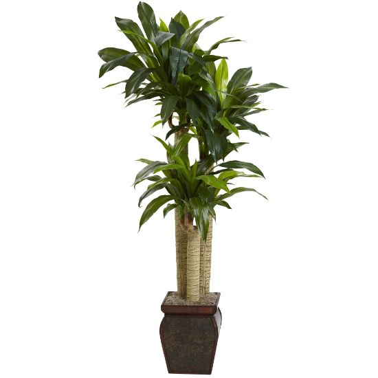 Picture of Nearly Natural 4-1/2ftH Artificial Cornstalk Dracaena Plant With Vase, Green/Brown