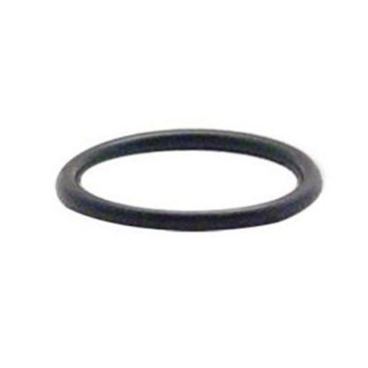 Picture of T&S Brass O-Ring, 5/8in, Black