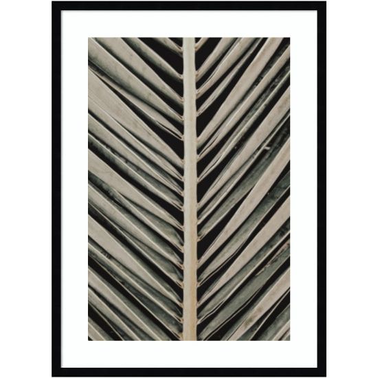 Picture of Amanti Art Palmblad 005 by 1x Studio III Wood Framed Wall Art Print, 24inW x 33inH, Black