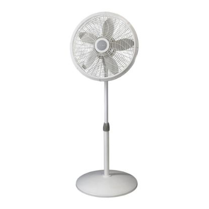 Picture of Lasko Elegance Pedestal Fan