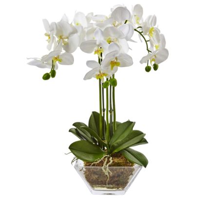 Picture of Nearly Natural 22inH Artificial Triple Phalaenopsis Orchid With Glass Vase, White/Clear