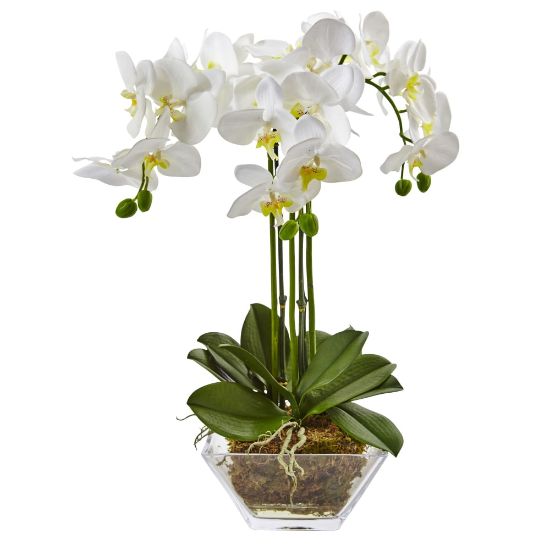 Picture of Nearly Natural 22inH Artificial Triple Phalaenopsis Orchid With Glass Vase, White/Clear