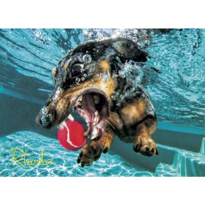 Picture of Willow Creek Press 1,000-Piece Puzzle, 26-5/8in x 19-1/4in, Underwater Dogs: Rhoda