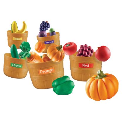 Picture of Learning Resources Farmers Market Color Sorting Set, Pre-K - Grade 3