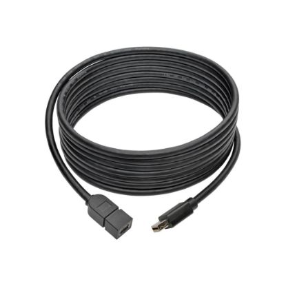 Picture of Tripp Lite Mini DisplayPort Extension Cable, 10ft