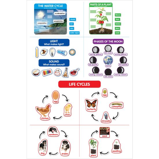 Picture of Scholastic Teachers Friend Early Science Concepts Bulletin Board Set, Preschool - Grade 2