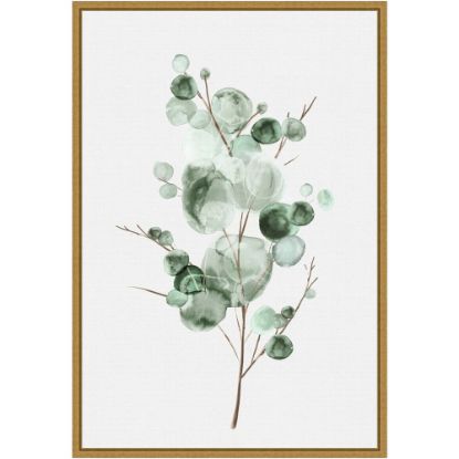 Picture of Amanti Art Tender Sprout I Eucalyptus by Eva Watts Framed Canvas Wall Art Print, 23inH x 16inW, Gold