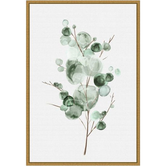 Picture of Amanti Art Tender Sprout I Eucalyptus by Eva Watts Framed Canvas Wall Art Print, 23inH x 16inW, Gold