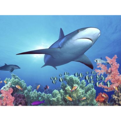 Picture of Biggies Landscape/Seascape Mural, 24in x 18in, Unframed, Shark Reef