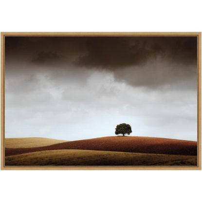 Picture of Amanti Art Distant Tree and Horizon by Alberto Merchan Framed Canvas Wall Art Print, 16inH x 23inW, Maple