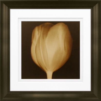 Picture of Timeless Frames Marren Espresso-Framed Floral Artwork, 8in x 8in, Tulip