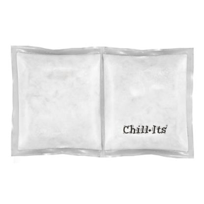 Picture of Ergodyne Chill-Its 6283 Rechargeable Phase Change Ice Pack, 16-1/4in x 11-1/4in, Clear