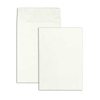 Picture of Quality Park Tyvek Expansion Envelopes, Short-Side Opening, 12in x 16in x 2in, 14 Lb, White, Carton Of 100