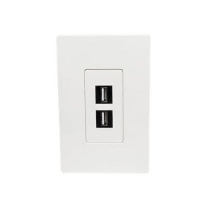 Picture of Tripp Lite Single-Gang 2-Port Wall Plate Keystone Cat5/Cat6 USB HDMI Dport RCA - Faceplate - white - 1-gang - 2 ports - TAA Compliant