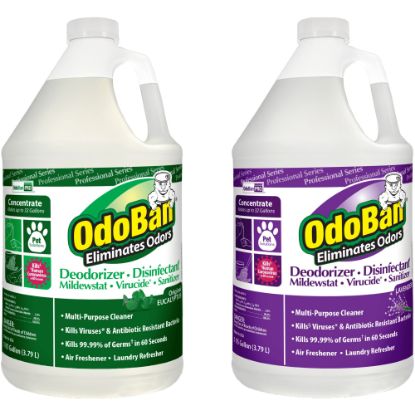 Picture of OdoBan Professional Disinfectant And Odor Eliminator Concentrate, Original Eucalyptus And Lavender Scent, 1 Gallon, Pack Of 2 Jugs