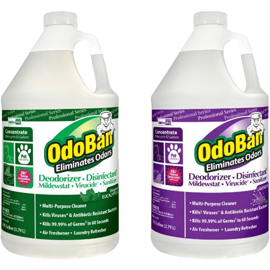 Picture of OdoBan Professional Disinfectant And Odor Eliminator Concentrate, Original Eucalyptus And Lavender Scent, 1 Gallon, Pack Of 2 Jugs