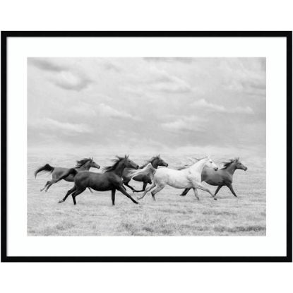 Picture of Amanti Art Horse Run I by PHBurchett Wood Framed Wall Art Print, 33inH x 41inW, Black