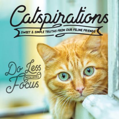 Picture of Willow Creek Press 5-1/2in x 5-1/2in Hardcover Gift Book, Catspirations