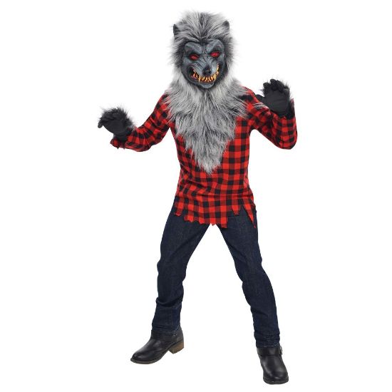 Picture of Amscan Hungry Howler Boys Halloween Costume, Large